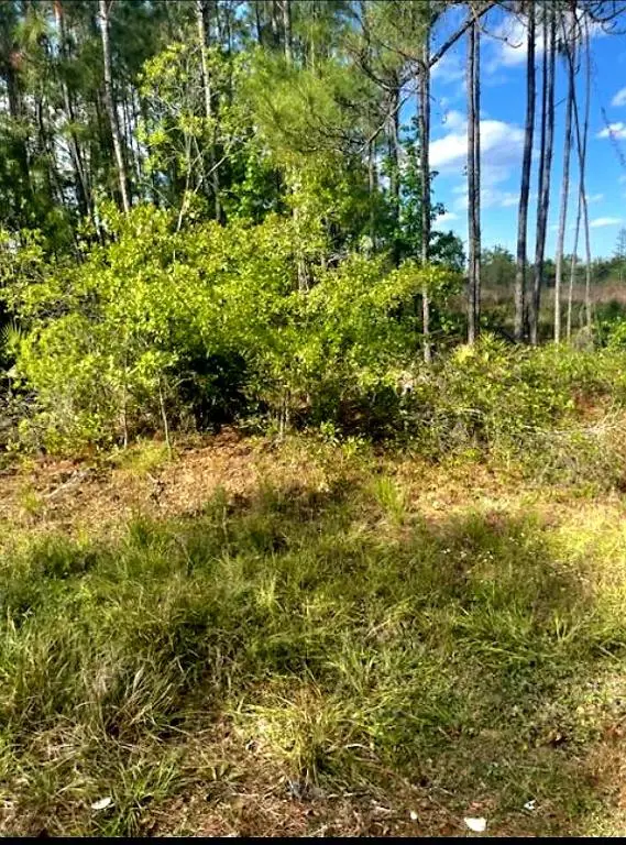 1108306 Oil Well Road, Clermont, FL 34714 - Image #2