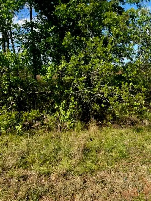 1108306 Oil Well Road, Clermont, FL 34714 - Image #3