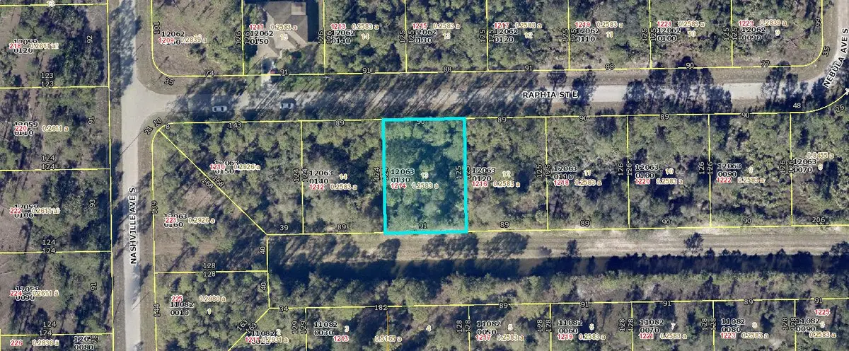 1214 Raphia Street E, Lehigh Acres, FL 33974 - Image #1