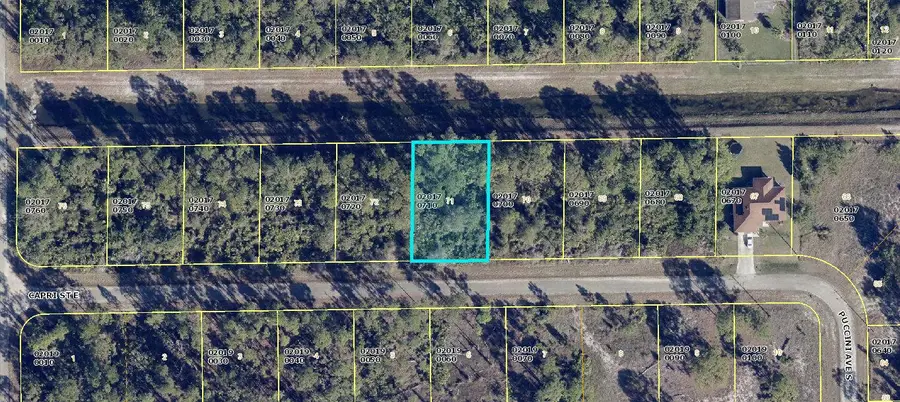 1113 Capri Street E, Lehigh Acres, FL 33974 - Image #2