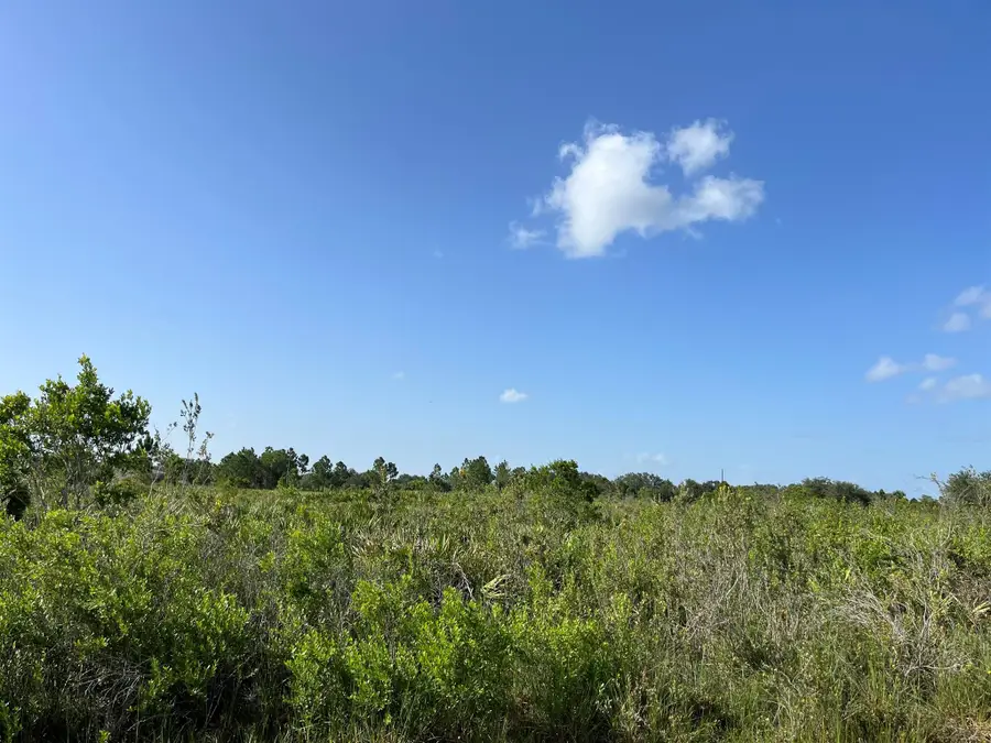 15883 NW 276th Street, Okeechobee, FL 34972 - Image #3