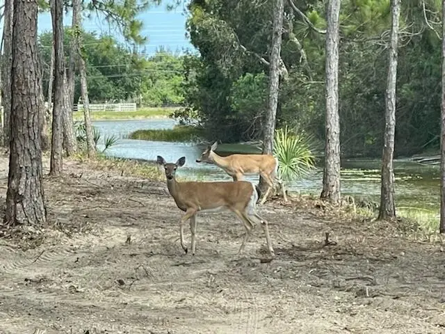 #2