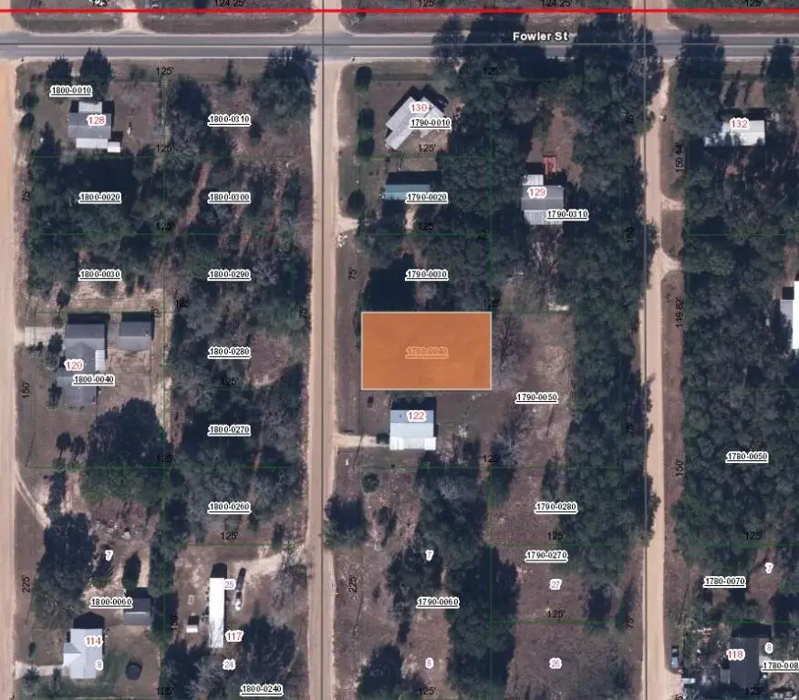Xxx Anthoney Avenue, Interlachen, FL 32148 - Image #3