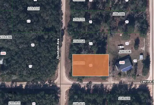 Xxx Levine Street, Interlachen, FL 32148 - Image #2