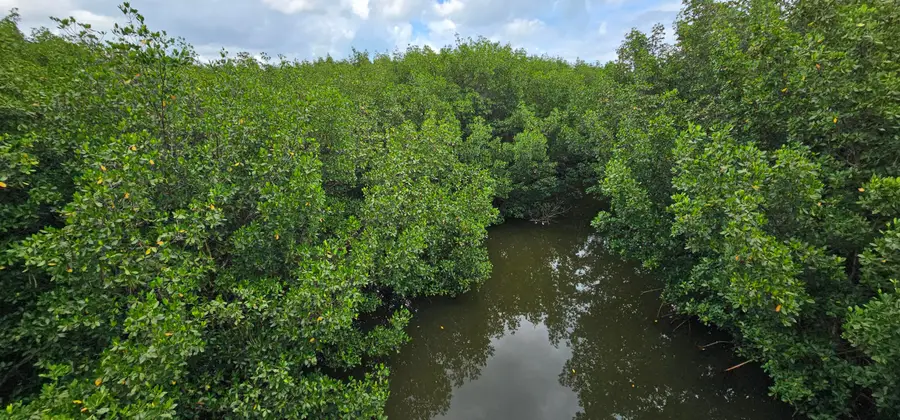 Tbd S Ocean Drive, Hutchinson Island, FL 34949 - #3