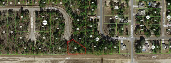 1005 W Riley Drive, Citrus Springs, FL 34434