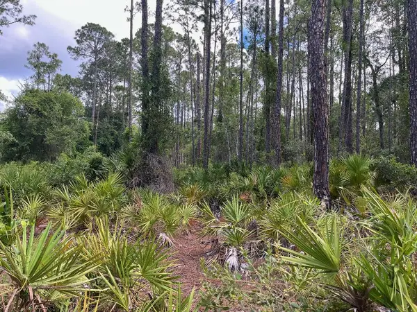 222 Marie Avenue, Georgetown, FL 32139