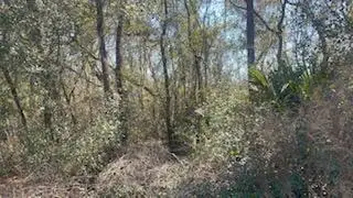 #1