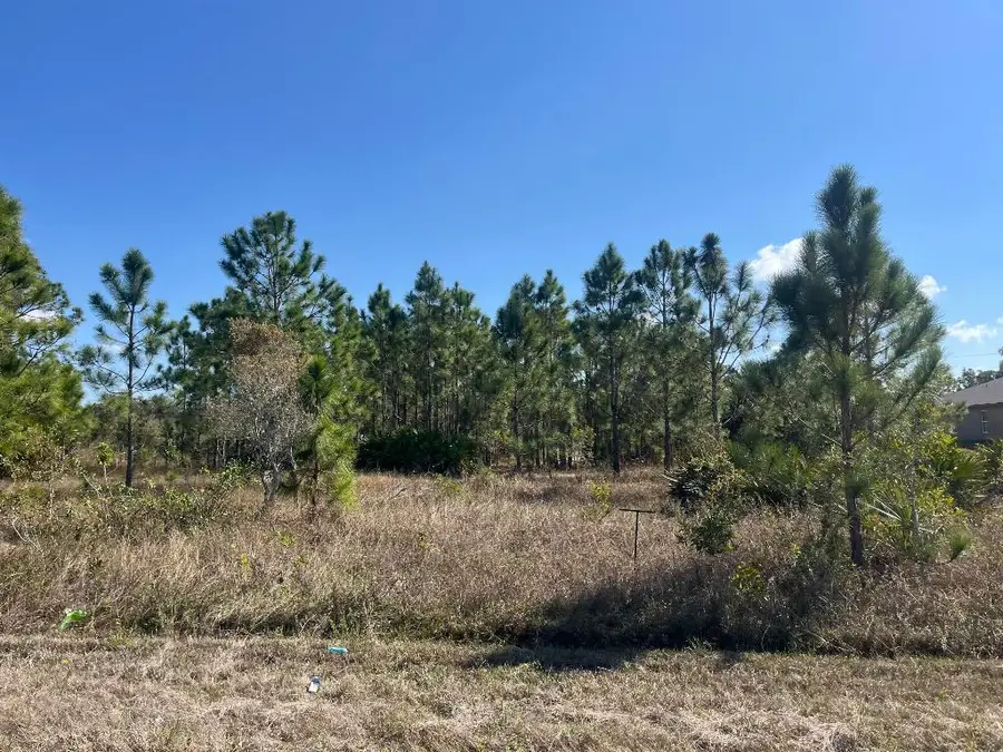 1247 Brunell Avenue, Fort Myers, FL 33913 - #2