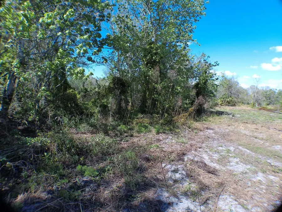 15683 NW 252nd Street, Okeechobee, FL 34972 - Image #3