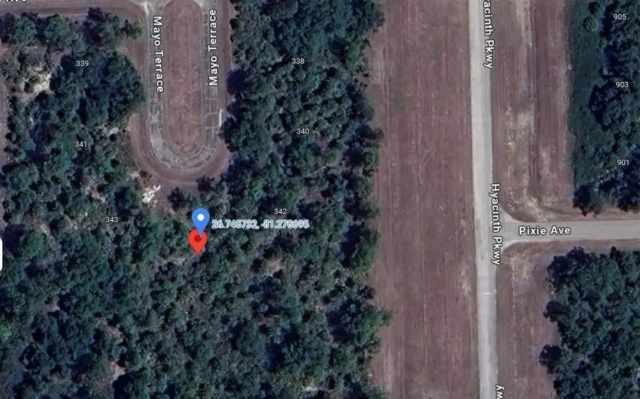 344 James Irwin Terrace, Labelle, FL 33935 - Image #2