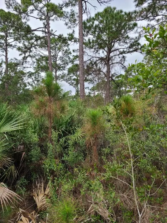 5375 69th Street, Vero Beach, FL 32967 - Image #2