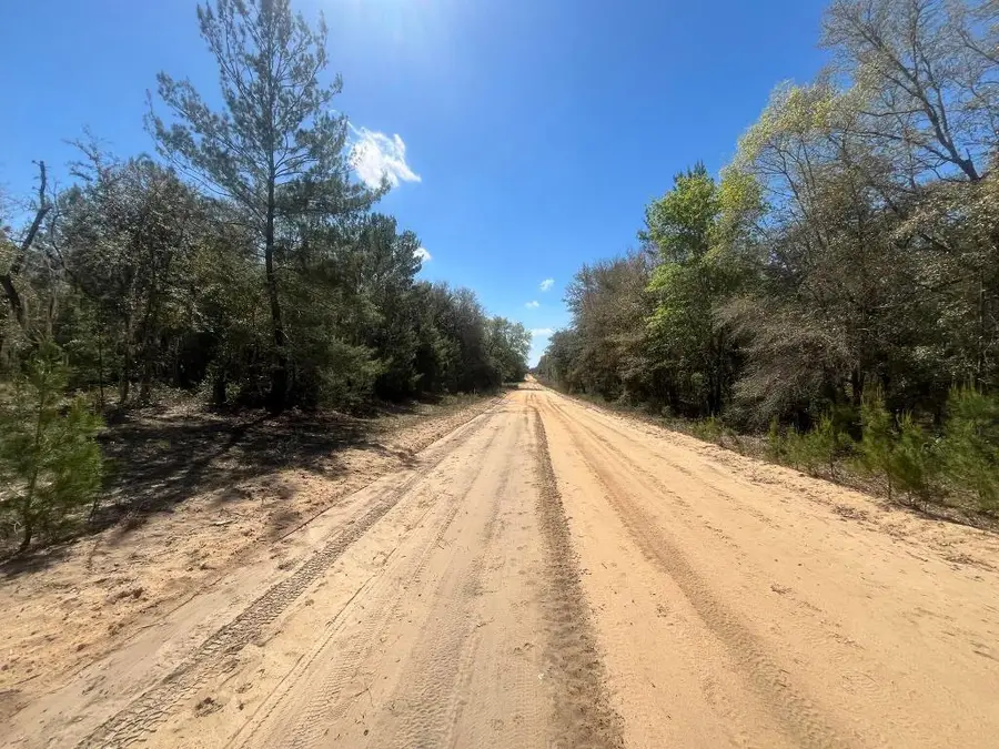 Tbd Kitty Avenue, Interlachen, FL 32148 - #3