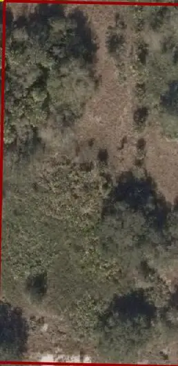 16633 NW 312th Street, Okeechobee, FL 34972 - Image #2