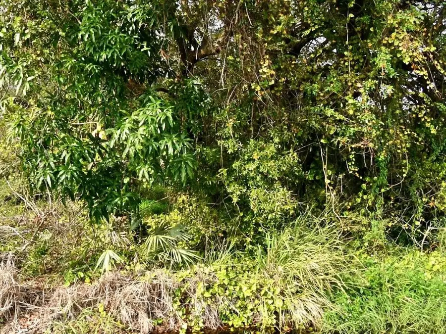 Tbd N 37th Street, Fort Pierce, FL 34947 - Image #2