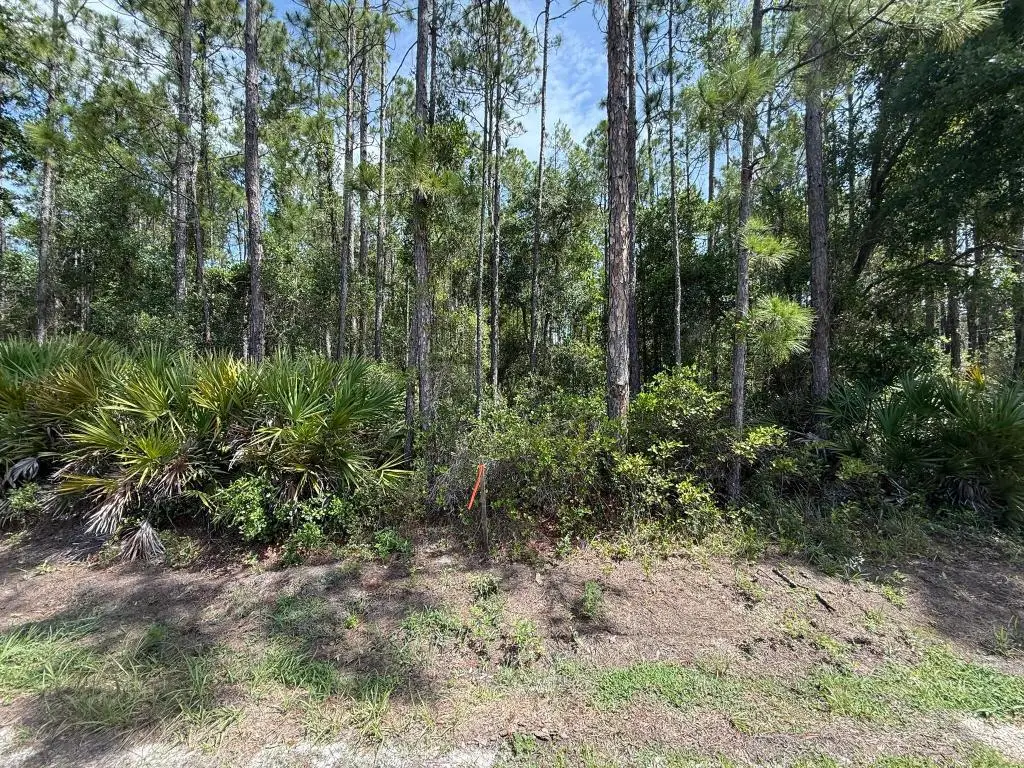 178 Millican Road, Palatka, FL 32177 - Image #1