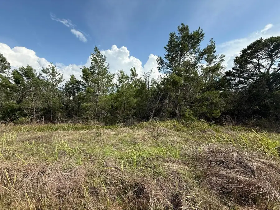 2921 W Seville Drive, Avon Park, FL 33825 - Image #2