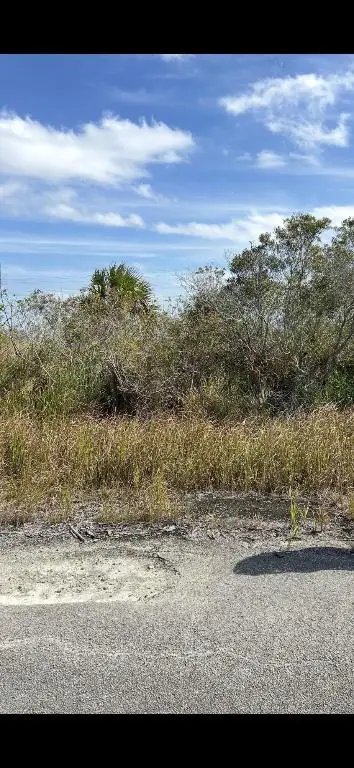 2995 Ell Place Sw, Palm Bay, FL 32908 - Image #1