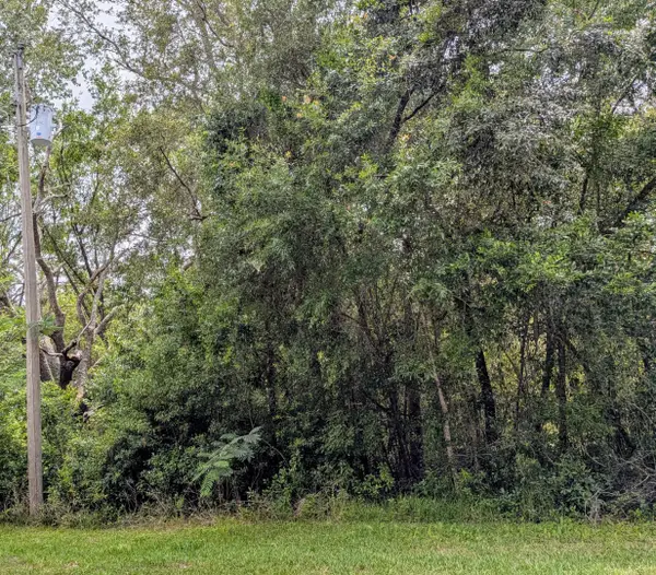 8970 N Joann Drive, Dunnellon, FL 34434