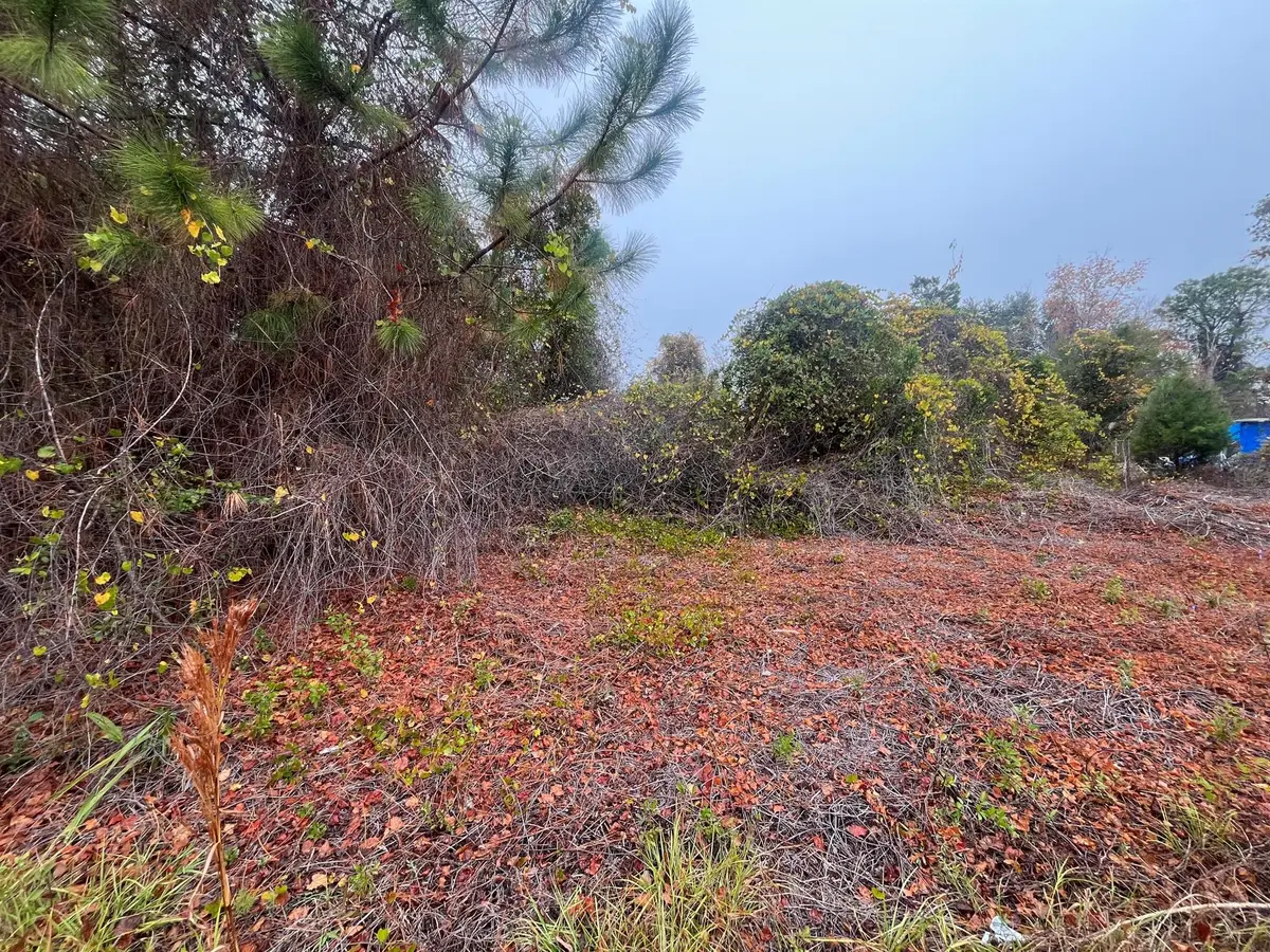 512 Dogwood Avenue, Georgetown, FL 32139 - Image #1