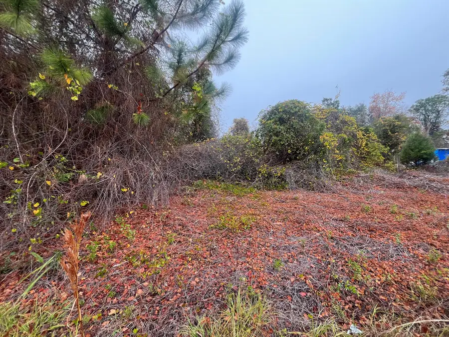 512 Dogwood Avenue, Georgetown, FL 32139 - Image #2