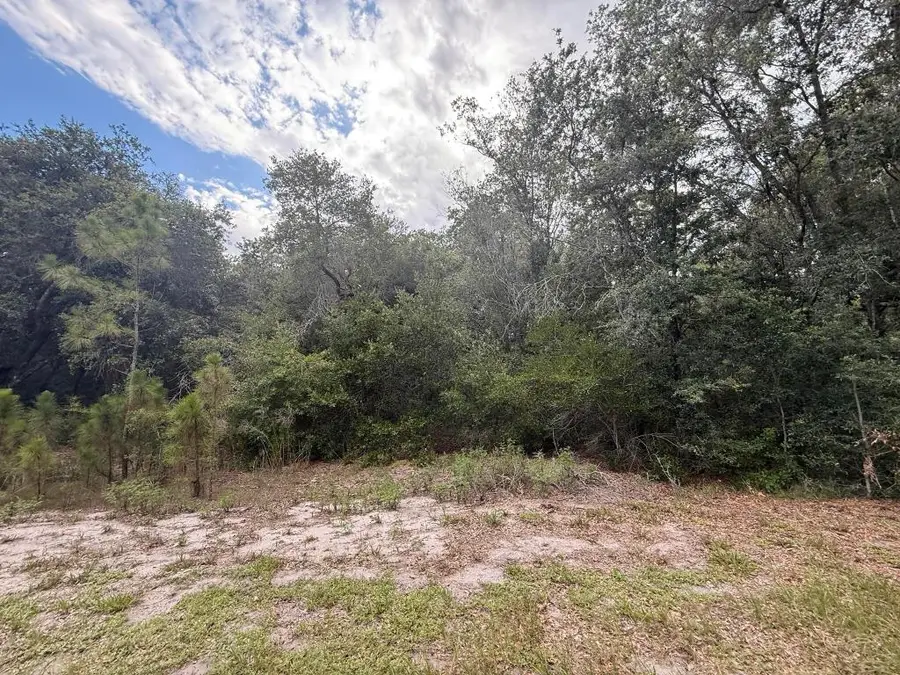 1012 Wildflower Street, Lake Placid, FL 33852 - Image #3