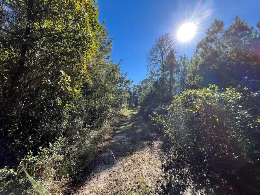 223 Mourning Dove Road, Satsuma, FL 32189 - Image #2