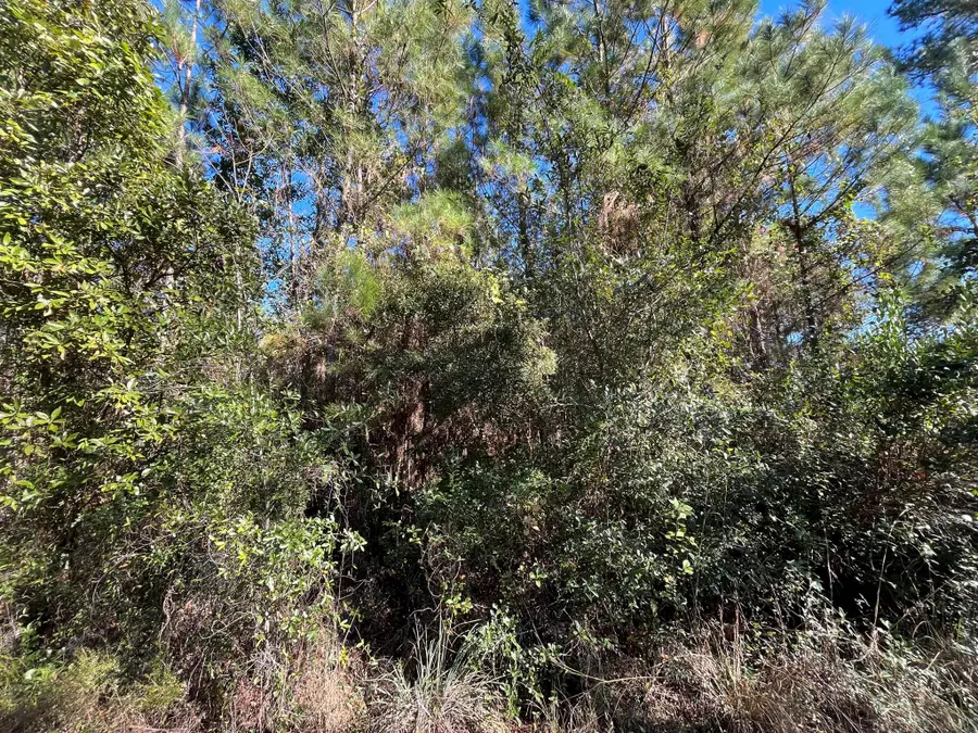 223 Mourning Dove Road, Satsuma, FL 32189 - Image #3