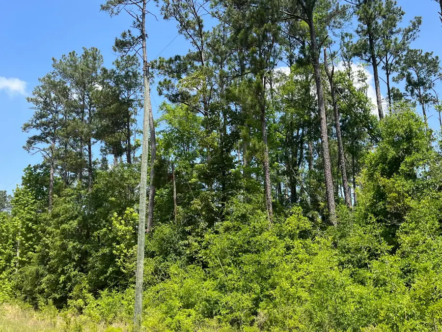 Tbd Grand Quiviera Circle, Alford, FL 32420 - #3