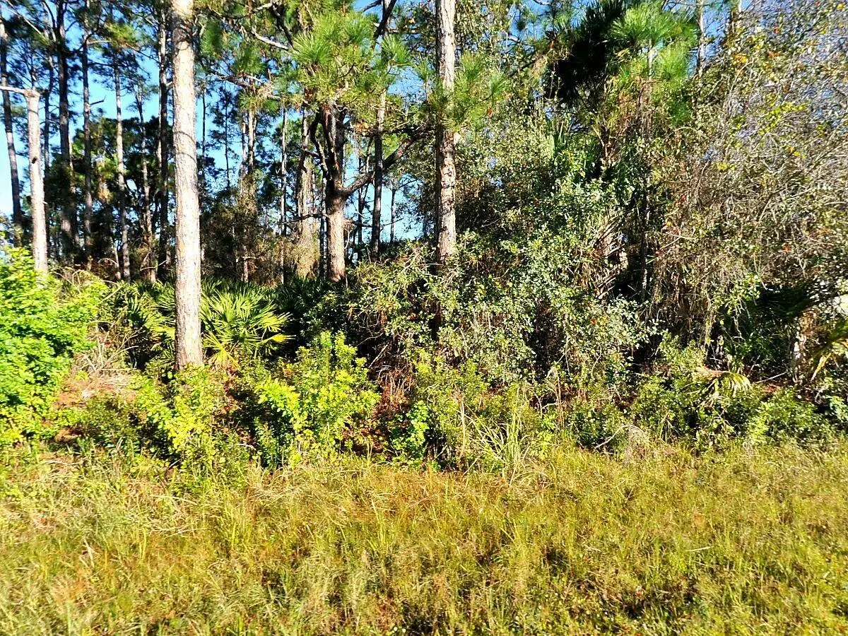 0 Rosa Avenue, North Port, FL 34286 - #1