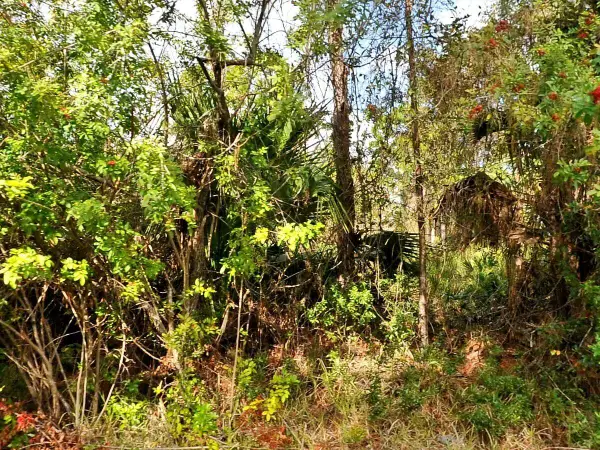 0 Haffenberg Ave Avenue, North Port, FL 34288