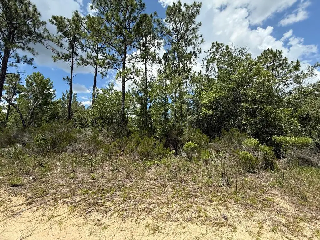 187 Paris Street, Interlachen, FL 32148 - Image #1