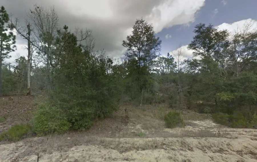 187 Paris Street, Interlachen, FL 32148 - Image #2