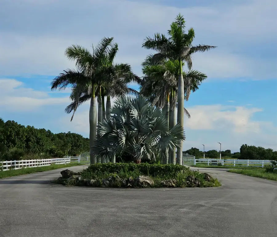 3225 Frog Holw, Loxahatchee, FL 33470 - Image #2