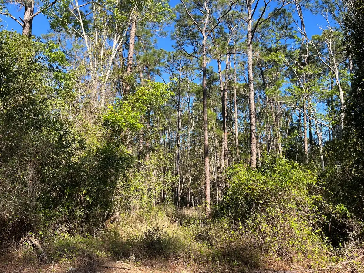 208 SE 3rd Street, Georgetown, FL 32139 - Image #1