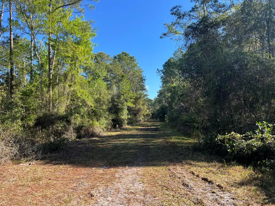 208 SE 3rd Street, Georgetown, FL 32139 - Image #2