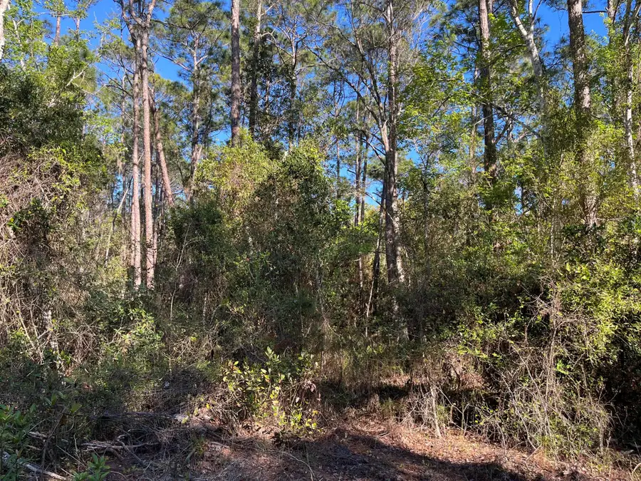 208 SE 3rd Street, Georgetown, FL 32139 - Image #3