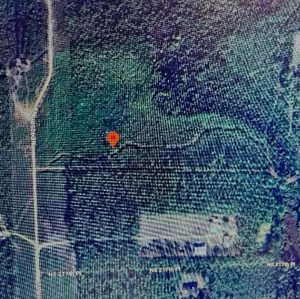 Tbd Ne 125th Ave, Fort McCoy, FL 32134