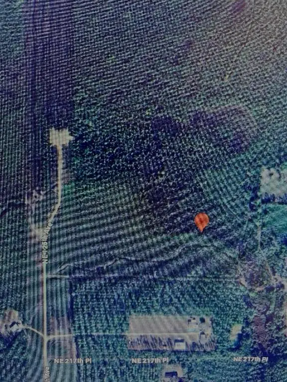 Tbd Ne 125th Ave, Fort McCoy, FL 32134 - Image #1