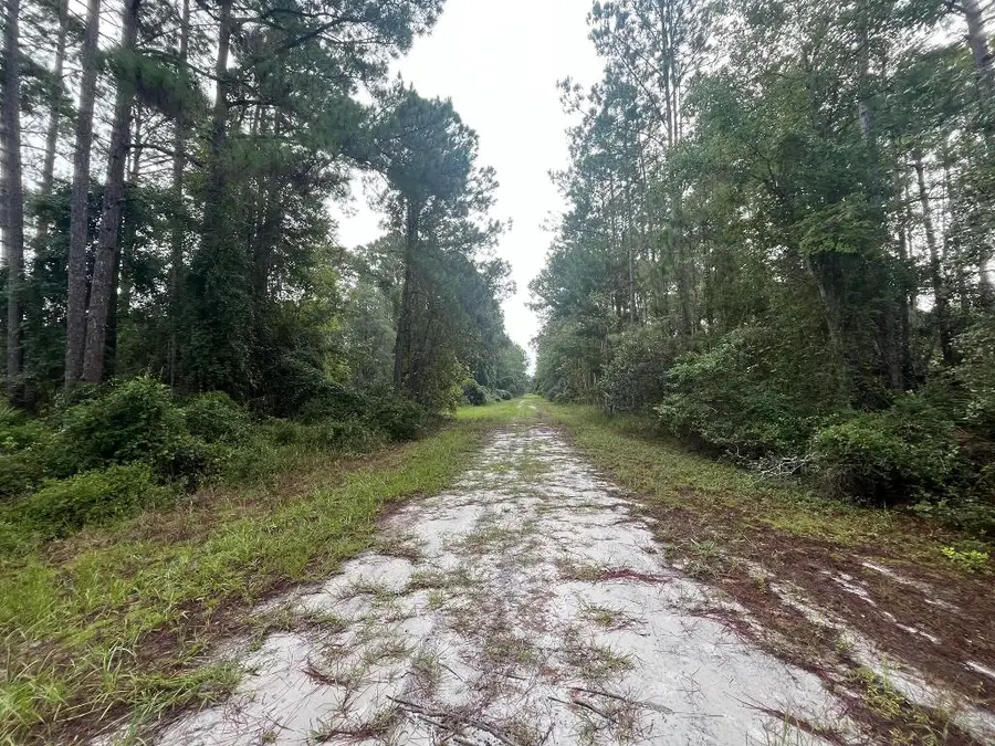 120 Gardenia Avenue, Georgetown, FL 32139 - #3