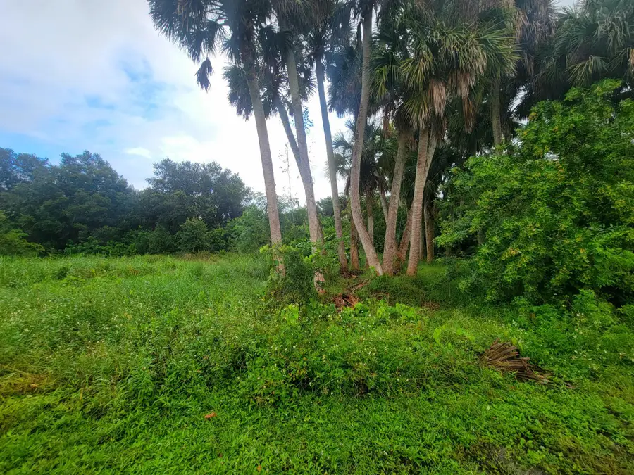 9097 SE 67th Way, Okeechobee, FL 34974 - #3