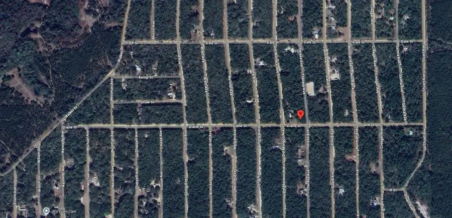 Tbd Theresa Avenue, Interlachen, FL 32148 - #2