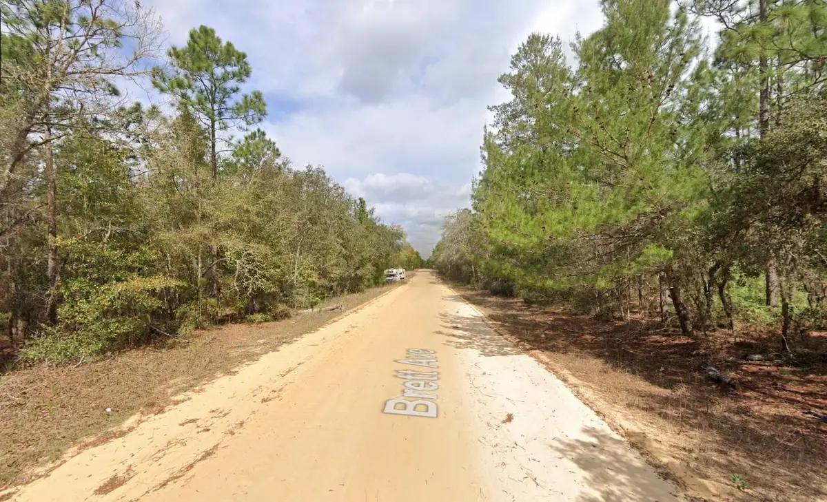 421 Brett Avenue, Interlachen, FL 32148 - #1