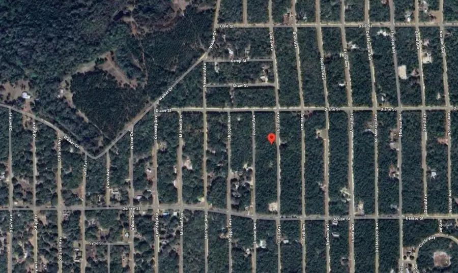 523 Gloria Avenue, Interlachen, FL 32148 - #3