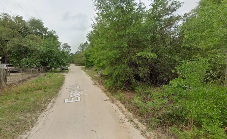 113 Easy Lane, Satsuma, FL 32189 - Image #2