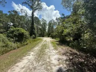 337 Palm Way, Georgetown, FL 32139 - Image #2