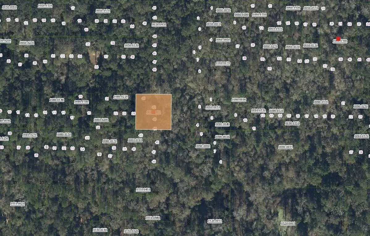 Tbd Unassigned, Hawthorne, FL 32640 - #1