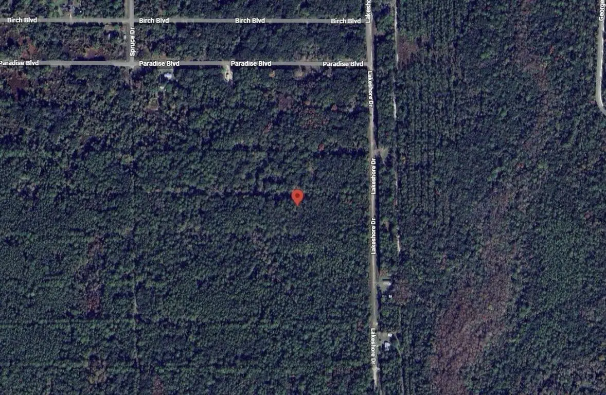 329 Chipola Drive, Georgetown, FL 32139 - Image #1