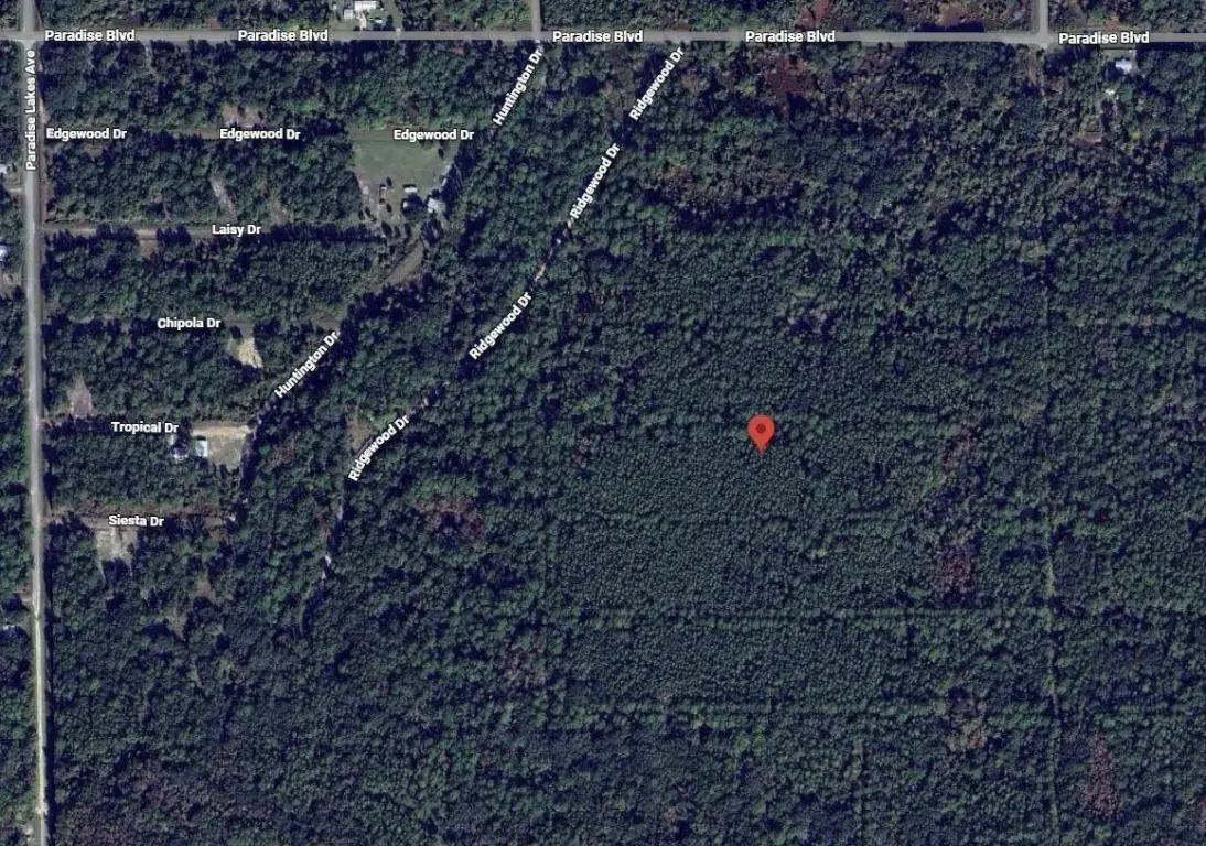 317 Tropical Drive, Georgetown, FL 32139 - Image #1
