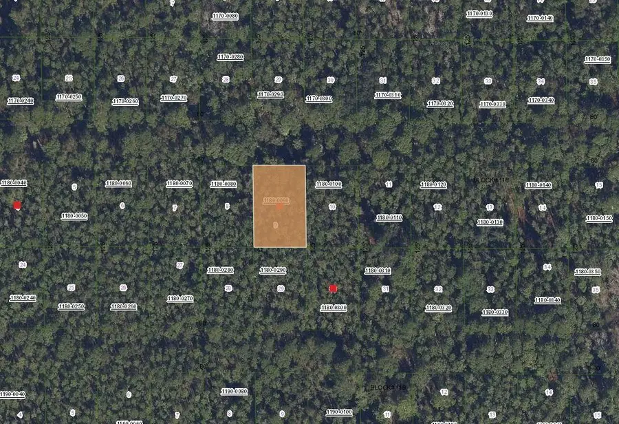 317 Tropical Drive, Georgetown, FL 32139 - Image #2